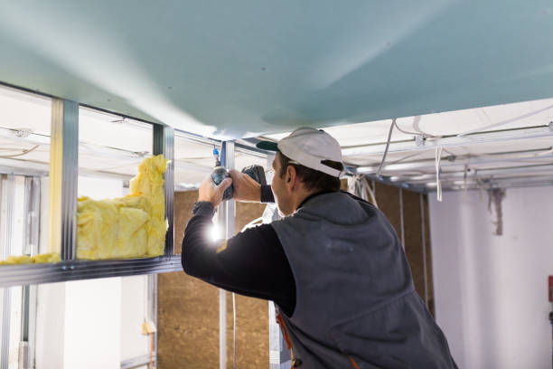 Best Insulation Maintenance and Repair in New Chicago, IN