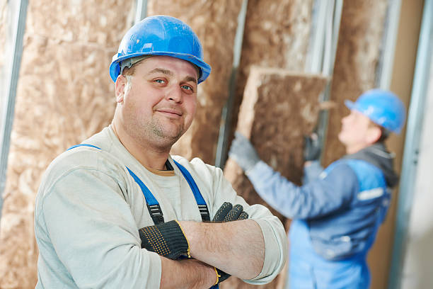 Best Eco-Friendly Insulation in New Chicago, IN
